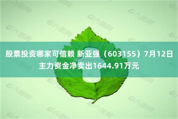 股票投资哪家可信赖 新亚强（603155）7月12日主力资金净卖出1644.91万元