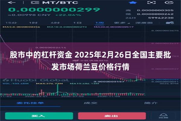 股市中的杠杆资金 2025年2月26日全国主要批发市场荷兰豆